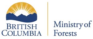 BC ministry of forests